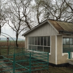 locul-mortii-1