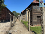 IMG_2944