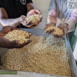 Ibenga, Zambia. Missione Santa Teresa. Progetto di costruzione di un mulino. Anno 2023