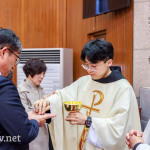 priestly ordination 10