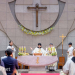 priestly ordination 11
