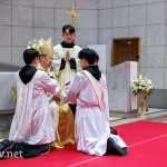 priestly ordination 2