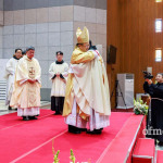 priestly ordination 8