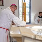 IMG_0817.jpg