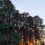 AS24.jpg