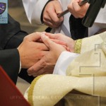 t-08-profesione-semplice-22.jpg