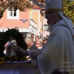 p-02-04-2026-11.jpg