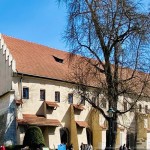 t-07-04-2026-10.jpg