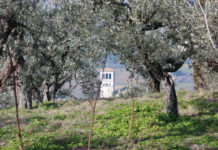 Italy: Assisi—Day of Prayer for Peace Asís