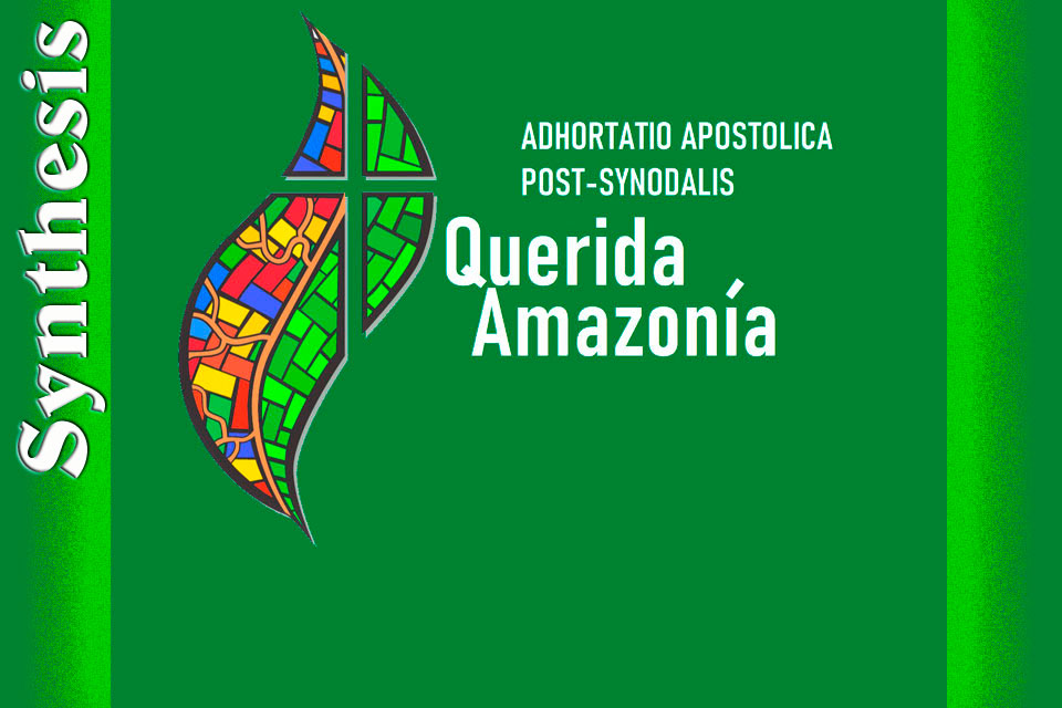 amazonia-sintesi-en