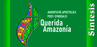 Querida Amazonía: cuatro grandes sueños amazonia-sintesi-es