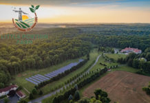 USA: pierwsze zbiory w „Little portion farm” Little Portion Farm