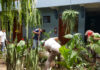 San Salvador: Ecological Conversion Starts at Home San Salvador