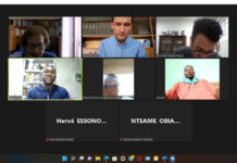 Online Meeting of the M.I. in French-speaking Africa MI