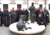 Austria: Great Devotion to St. Anthony of Padua Austria