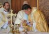 Brazil: Priestly Ordination and Ministry of Acolyte Conferred Brasile