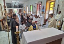 Brasile: Professione solenne nella Custodia dell’Immacolata Concezione Brasile-Immacolata