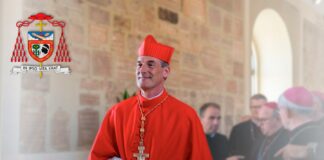 Servire il Signore amando la Chiesa Card. François-Xavier Bustillo OFMConv