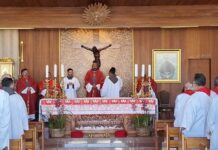 Brasile: solenne celebrazione di San Massimiliano M. Kolbe Brasile-SMK