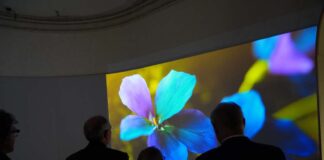 Rome: An Exhibition – “Laudato Sie! Nature and Knowledge. The Cultural Legacy of Brother Francis.” Natura e scienza