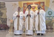 Brasile: Ordinazioni presbiterali Brasile