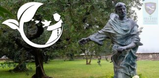 “Canto alla Riconciliazione” – Lettera per l’VIII Centenario del Cantico delle creature