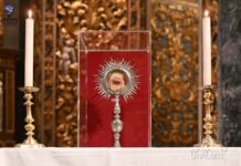 Pellegrinaggio della reliquia di San Francesco a Malta e Gozo