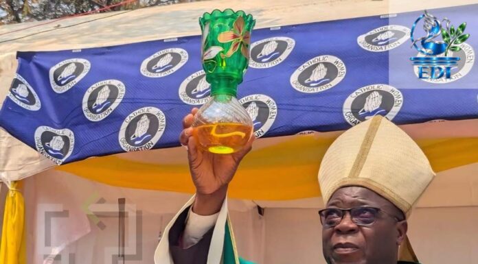 Spirito di Assisi in Zambia: tra teoria e pratica Spirito di Assisi in Zambia