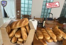Project No. 18/2025: Purchase of a Minibus for the Bread for the Poor Association Project No. 18/2025