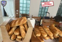 Projekt nr 18/2025 – Zakup minibusa dla stowarzyszenia „Pane dei Poveri” Projekt nr 18/2025