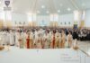 Roman: giornate di grazia con San Francesco d’Assisi Roman